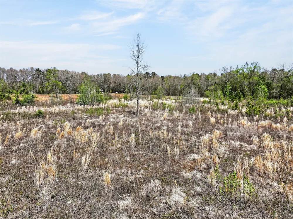 14 County Road 4223 Simms, TX 75574