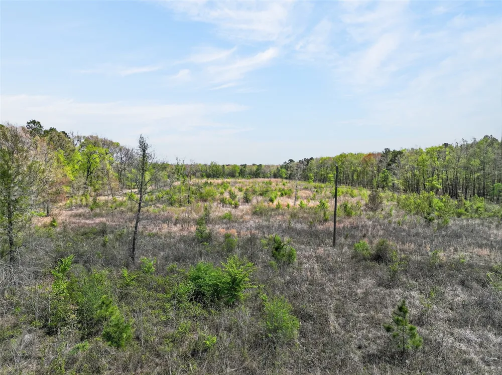 14 County Road 4223 Simms, TX 75574