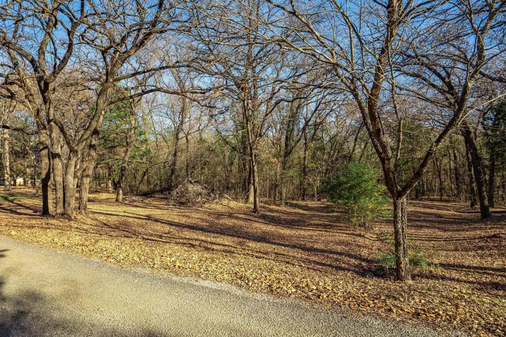 409 Spinnaker Run Oak Point, TX 75068