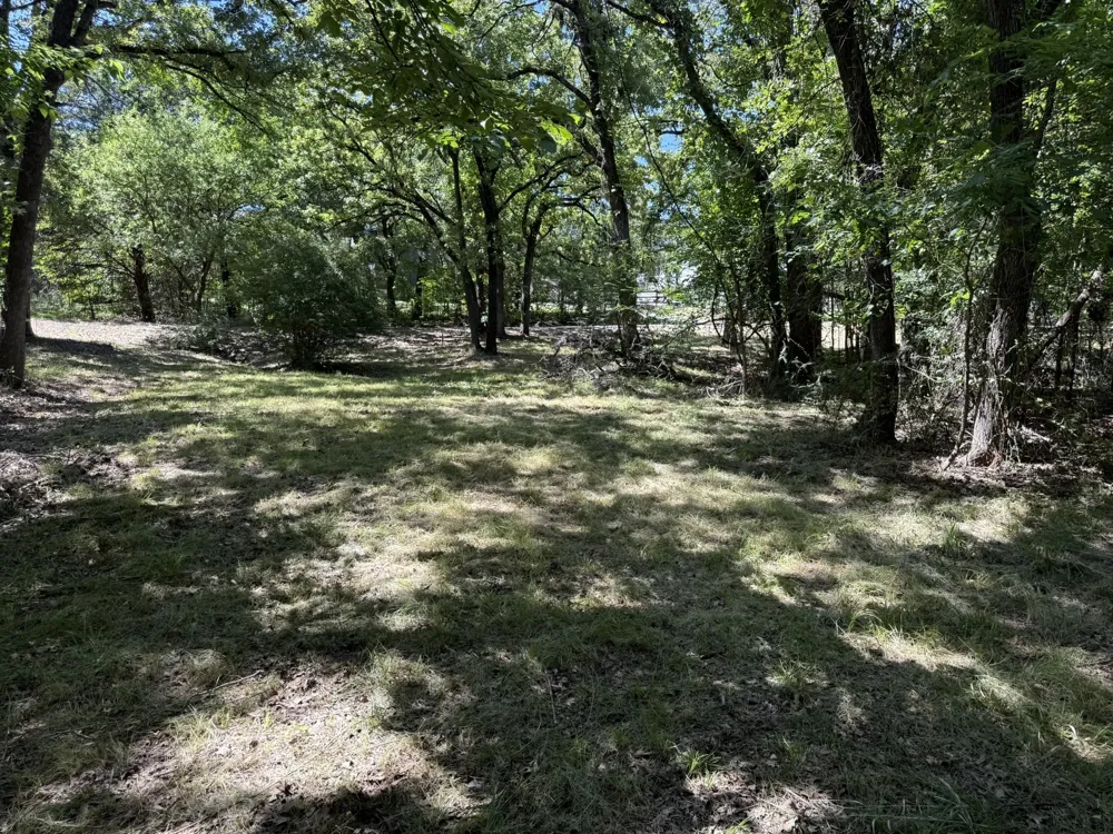 409 Spinnaker Run Oak Point, TX 75068