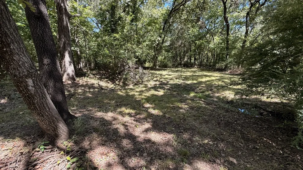 409 Spinnaker Run Oak Point, TX 75068