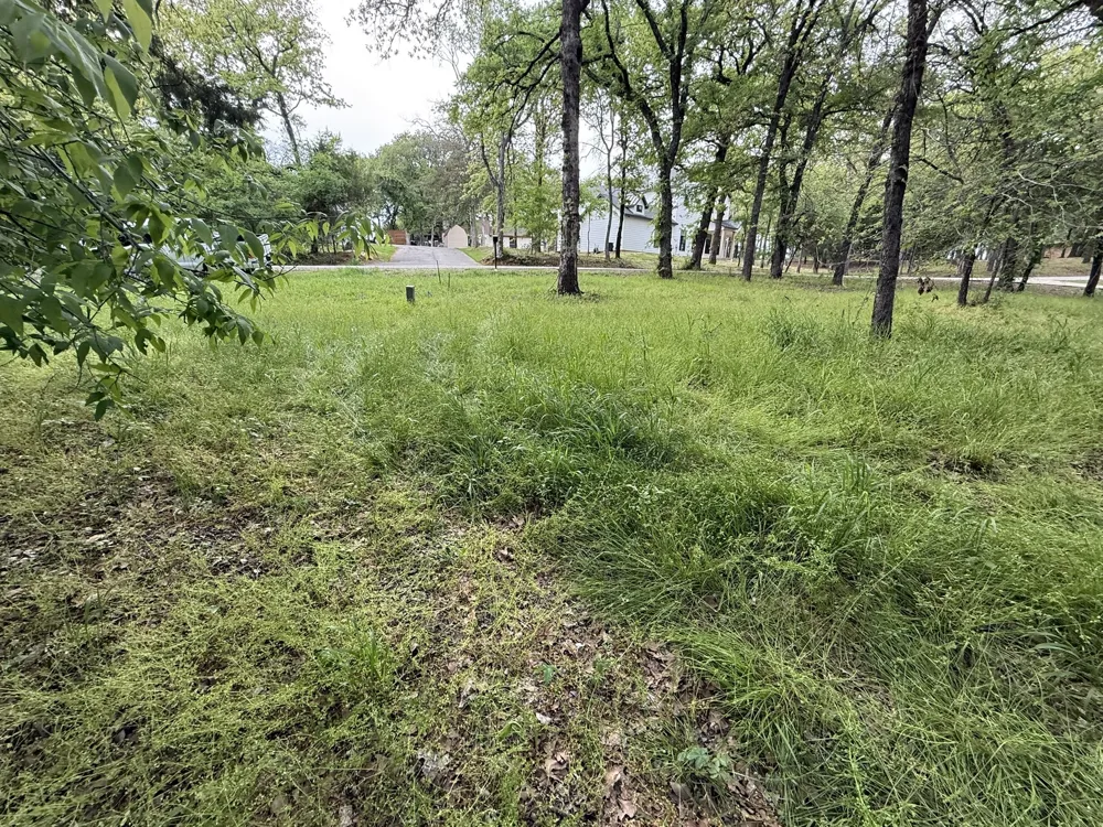 409 Spinnaker Run Oak Point, TX 75068