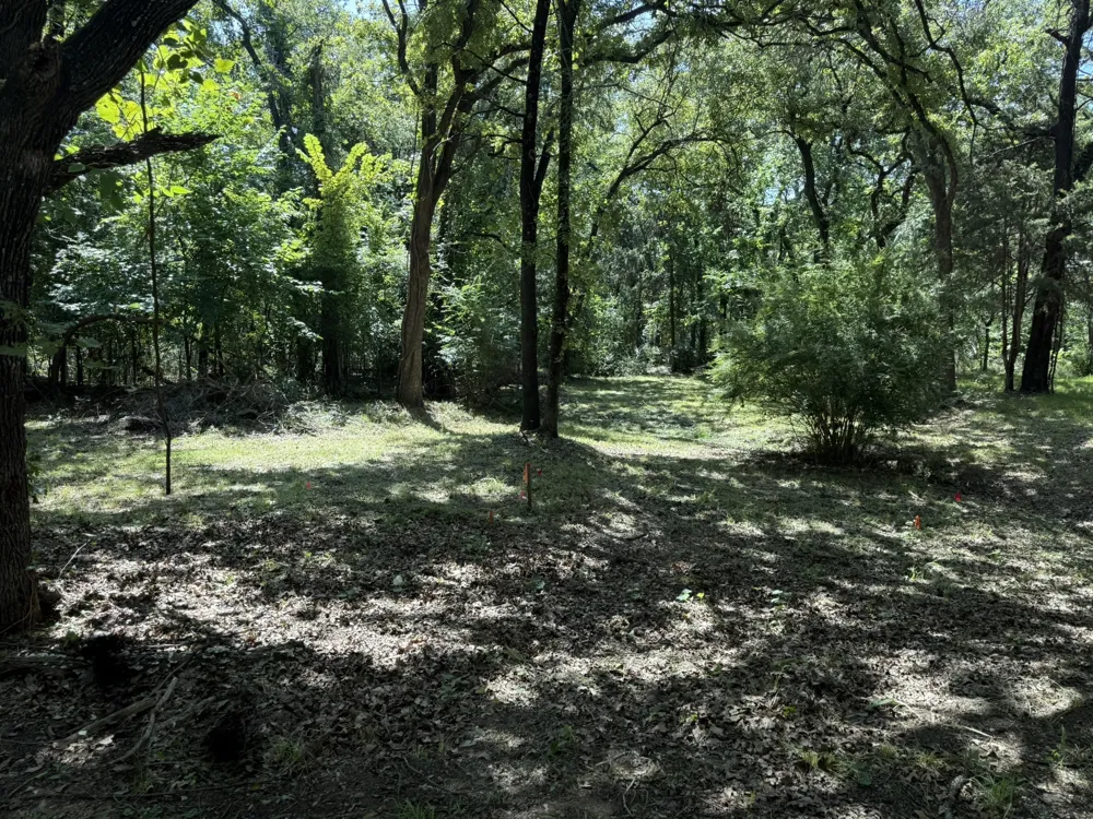 409 Spinnaker Run Oak Point, TX 75068