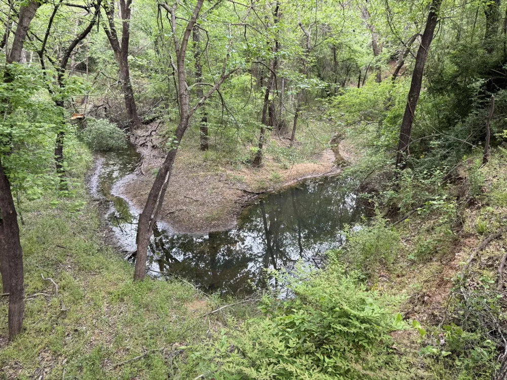 409 Spinnaker Run Oak Point, TX 75068
