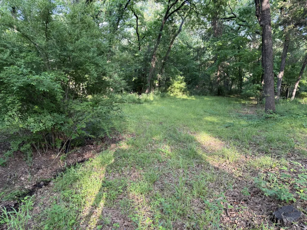 409 Spinnaker Run Oak Point, TX 75068