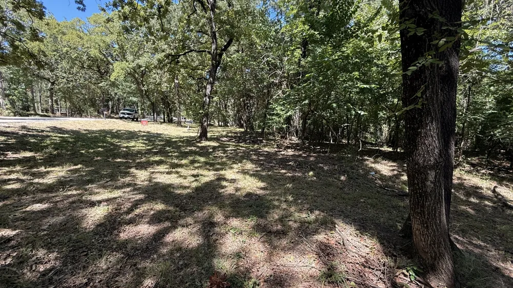 409 Spinnaker Run Oak Point, TX 75068