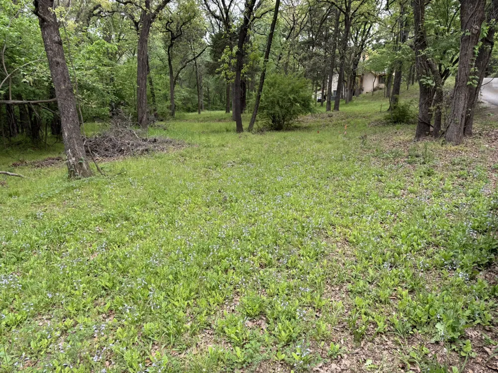 409 Spinnaker Run Oak Point, TX 75068
