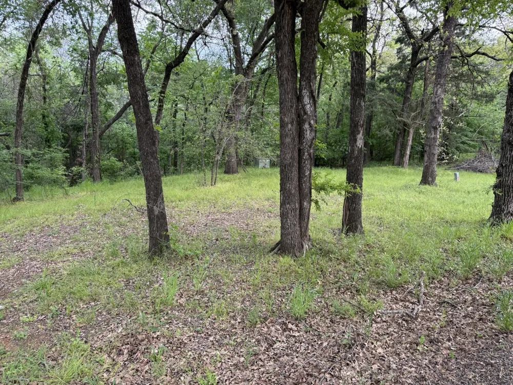 409 Spinnaker Run Oak Point, TX 75068