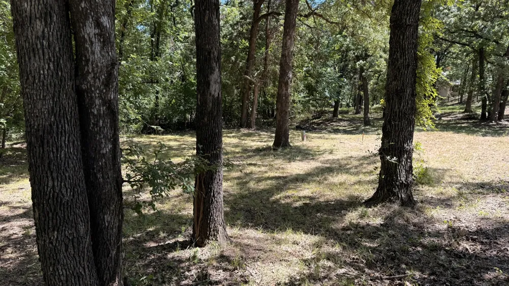 409 Spinnaker Run Oak Point, TX 75068