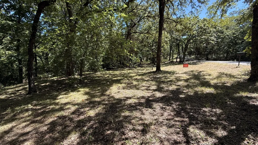 409 Spinnaker Run Oak Point, TX 75068