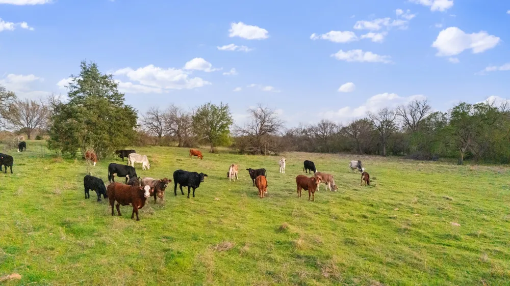 3647 COUNTY ROAD 265 Collinsville, TX 76233