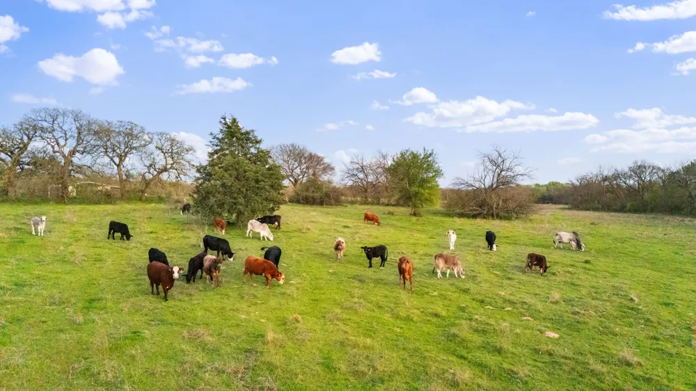 3647 COUNTY ROAD 265 Collinsville, TX 76233