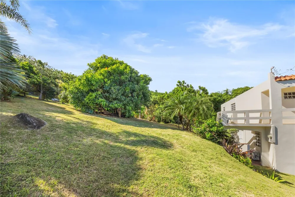 39 BO. CAMINO NUEVO Yabucoa, PR 00767