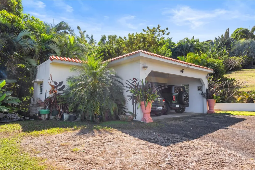 39 BO. CAMINO NUEVO Yabucoa, PR 00767