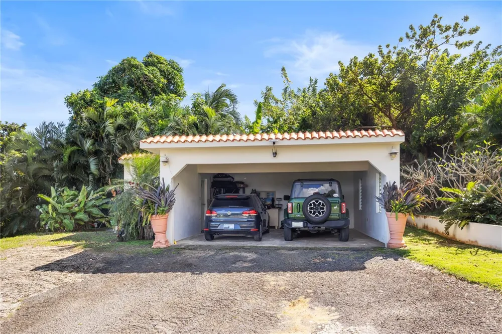 39 BO. CAMINO NUEVO Yabucoa, PR 00767