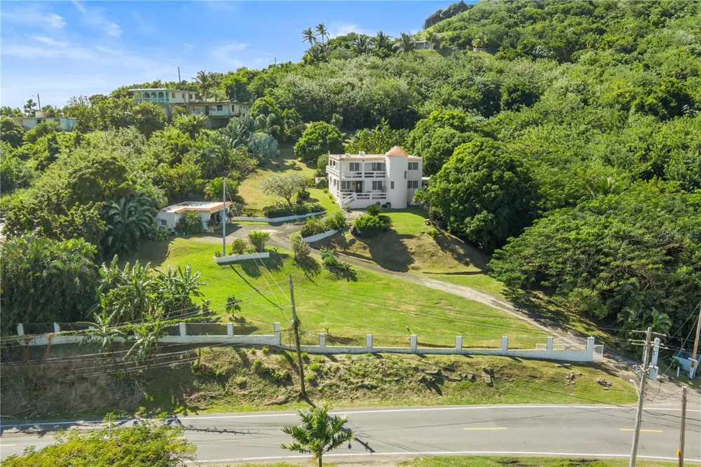 39 BO. CAMINO NUEVO Yabucoa, PR 00767