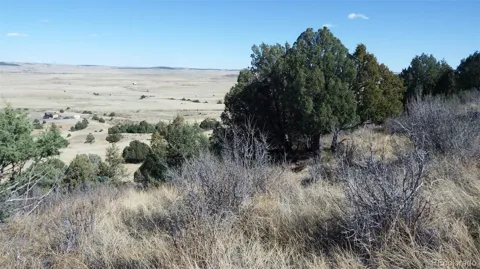 35584 Comanche Creek Road
