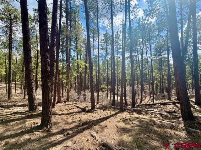 249 Timber Drive Bayfield, CO 81122