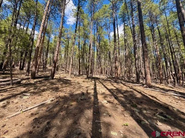 249 Timber Drive Bayfield, CO 81122