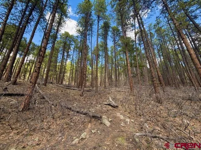 249 Timber Drive Bayfield, CO 81122