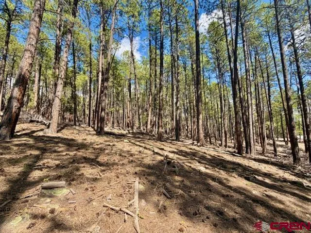 249 Timber Drive Bayfield, CO 81122