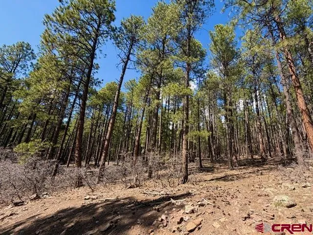 249 Timber Drive Bayfield, CO 81122