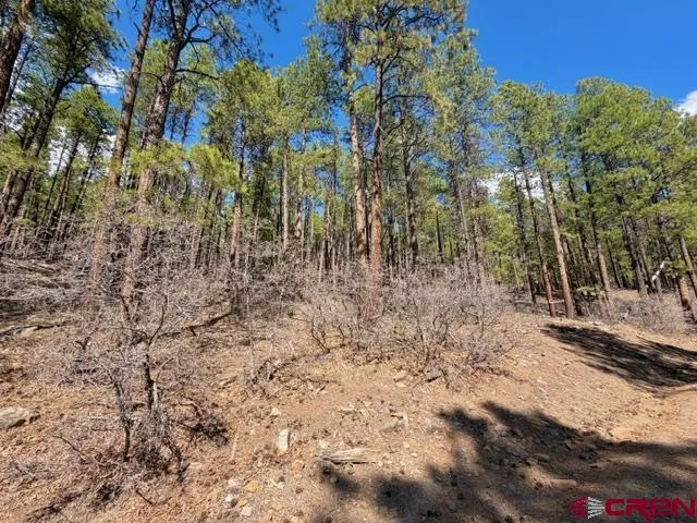 249 Timber Drive Bayfield, CO 81122