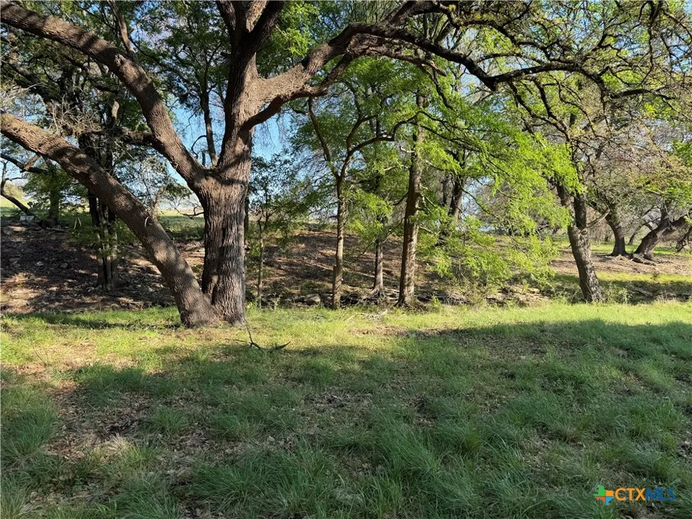 118 Guadalupe Drive Oglesby, TX 76561