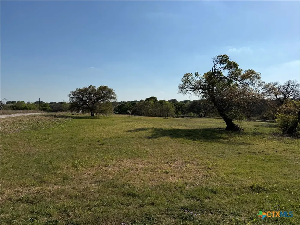 118 Guadalupe Drive Oglesby, TX 76561