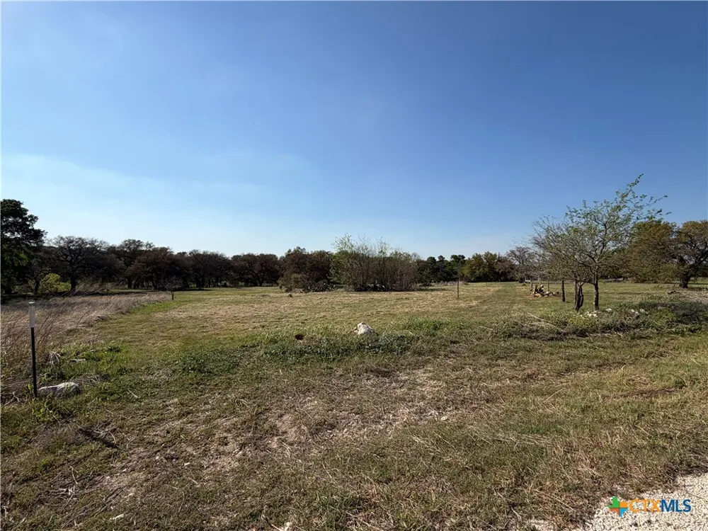 118 Guadalupe Drive Oglesby, TX 76561
