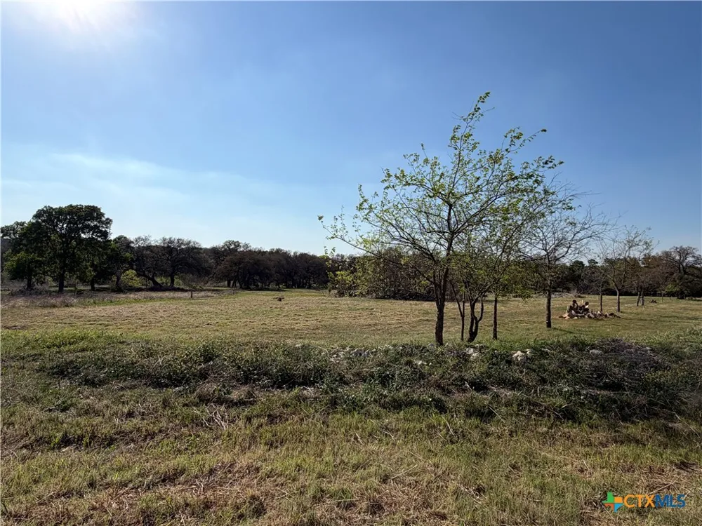 118 Guadalupe Drive Oglesby, TX 76561