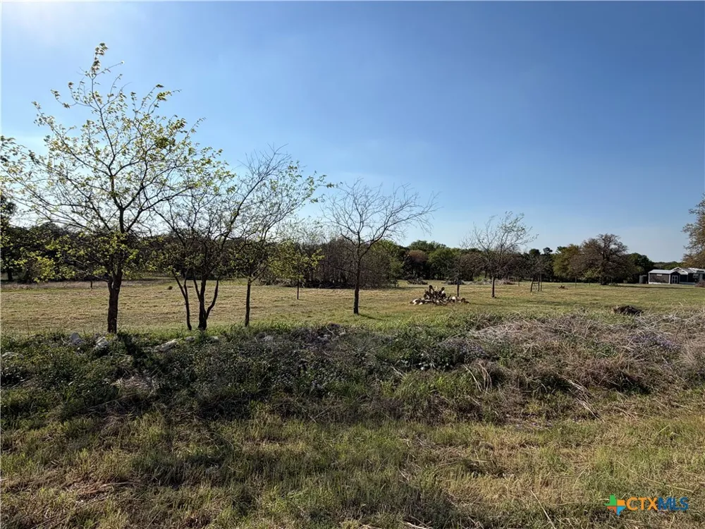 118 Guadalupe Drive Oglesby, TX 76561