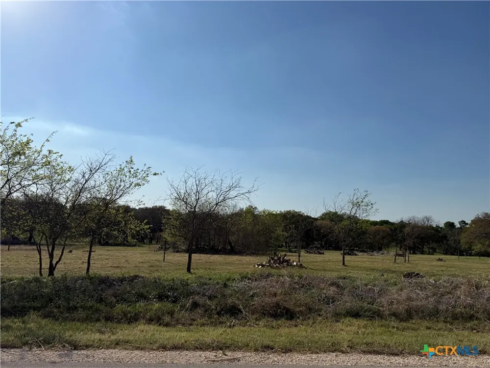 118 Guadalupe Drive Oglesby, TX 76561
