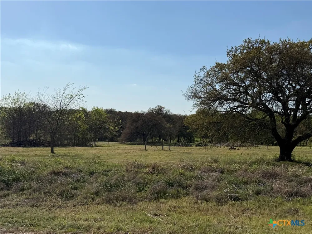 118 Guadalupe Drive Oglesby, TX 76561