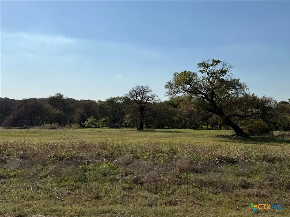 118 Guadalupe Drive Oglesby, TX 76561