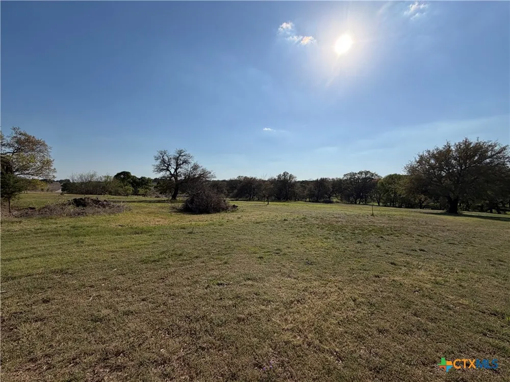 118 Guadalupe Drive Oglesby, TX 76561