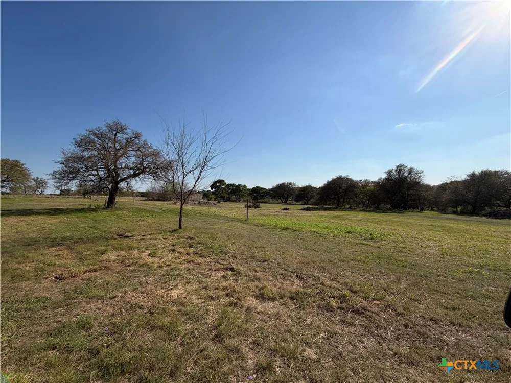 118 Guadalupe Drive Oglesby, TX 76561