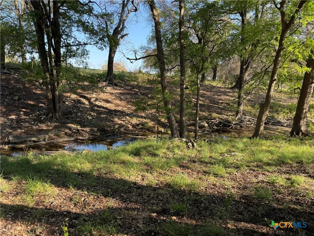 118 Guadalupe Drive Oglesby, TX 76561