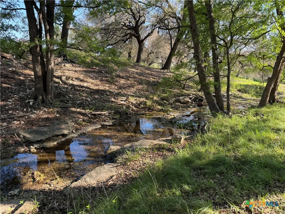 118 Guadalupe Drive Oglesby, TX 76561