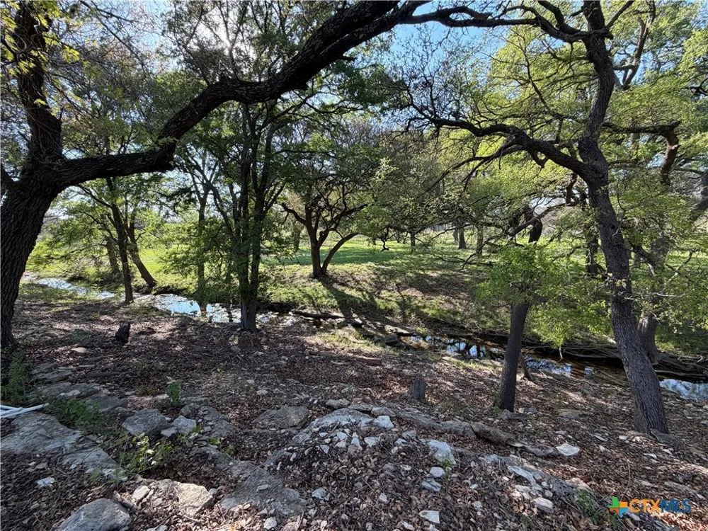 118 Guadalupe Drive Oglesby, TX 76561