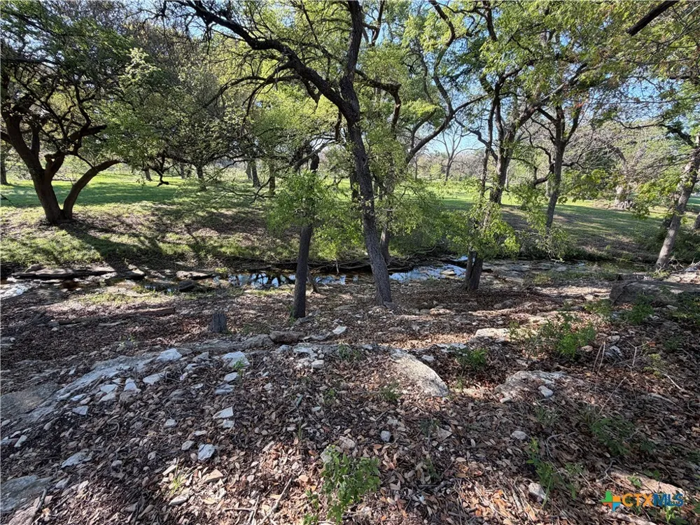 118 Guadalupe Drive Oglesby, TX 76561