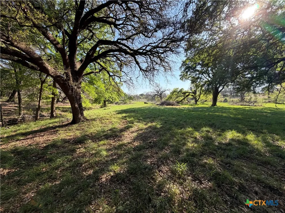 118 Guadalupe Drive Oglesby, TX 76561