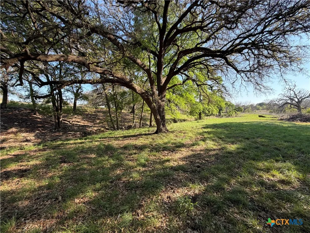 118 Guadalupe Drive Oglesby, TX 76561