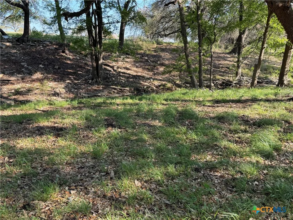 118 Guadalupe Drive Oglesby, TX 76561