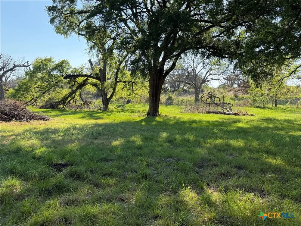 118 Guadalupe Drive Oglesby, TX 76561