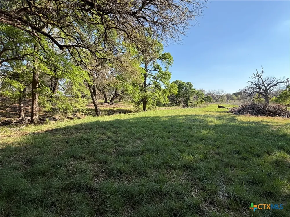 118 Guadalupe Drive Oglesby, TX 76561