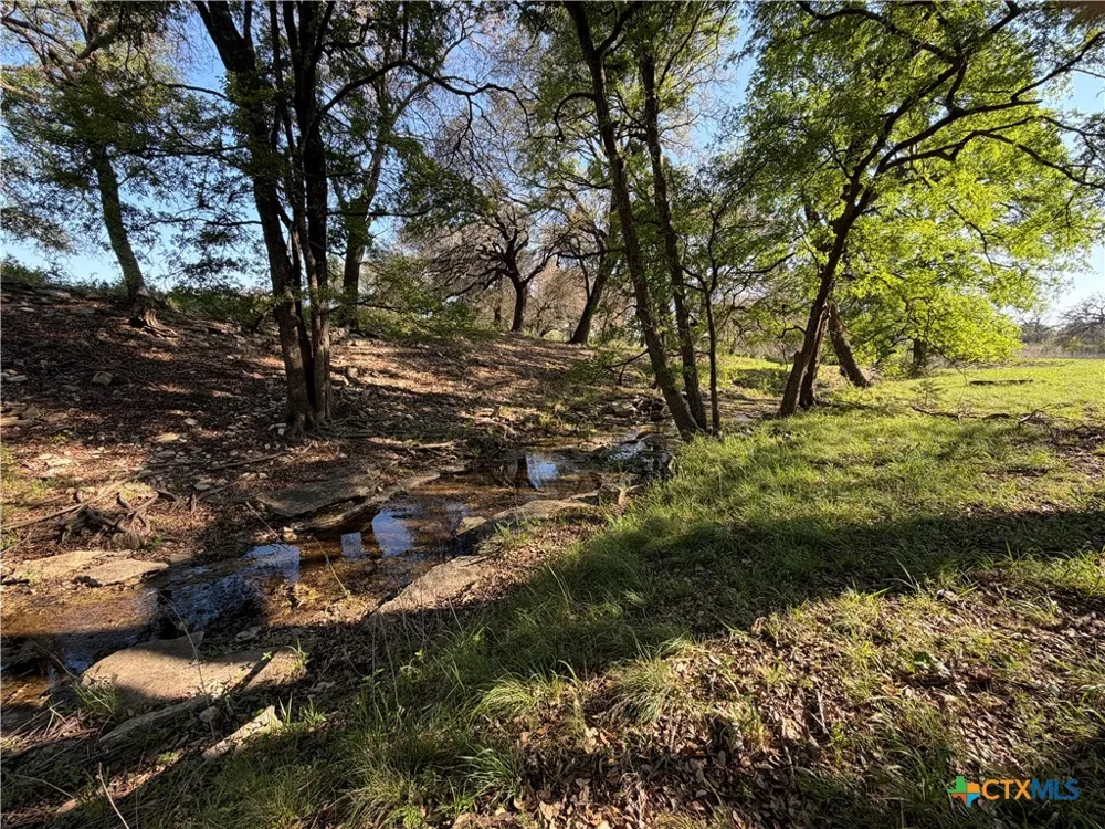 118 Guadalupe Drive Oglesby, TX 76561