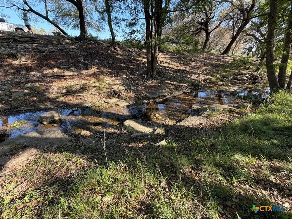 118 Guadalupe Drive Oglesby, TX 76561