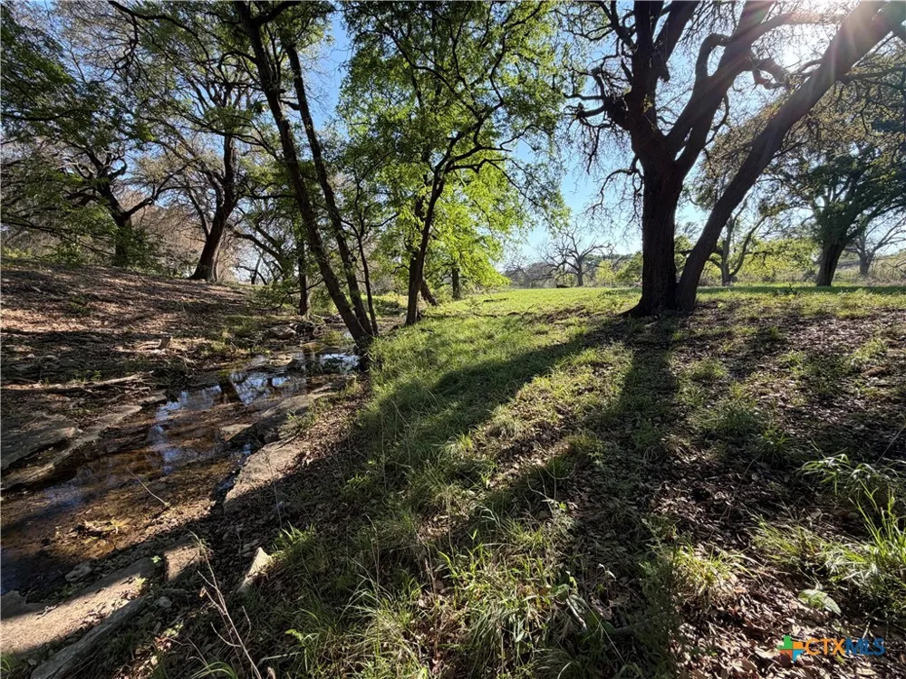 118 Guadalupe Drive Oglesby, TX 76561