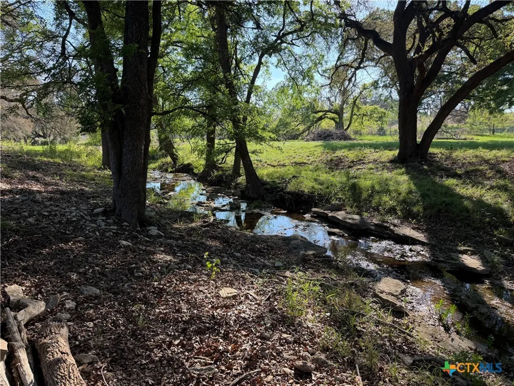 118 Guadalupe Drive Oglesby, TX 76561